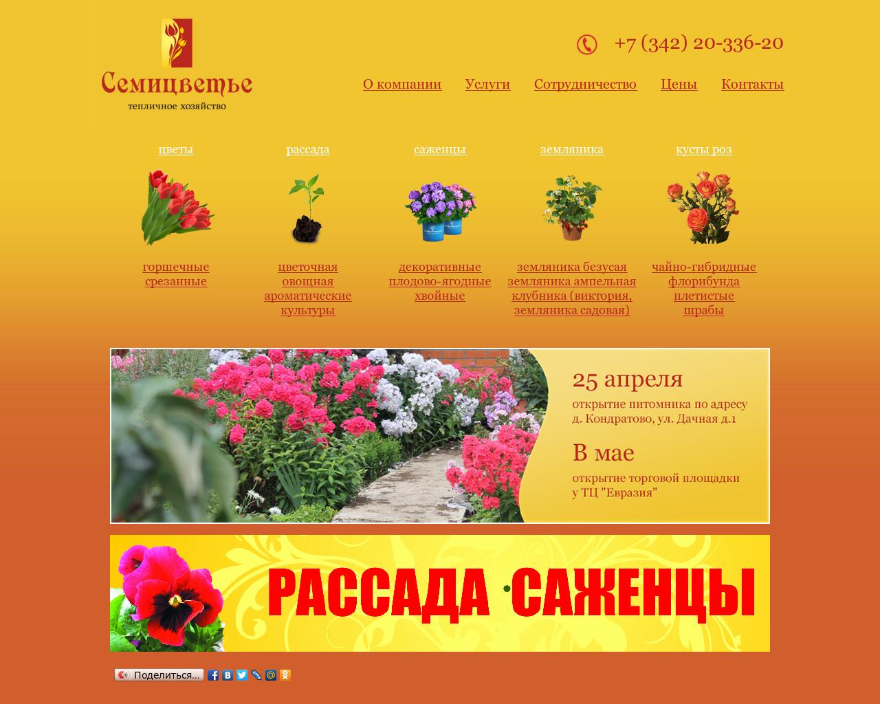 Изображение сайта 7cvetie.ru в разрешении 1280x1024