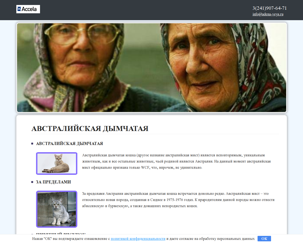 Изображение сайта adena-veys.ru в разрешении 1280x1024