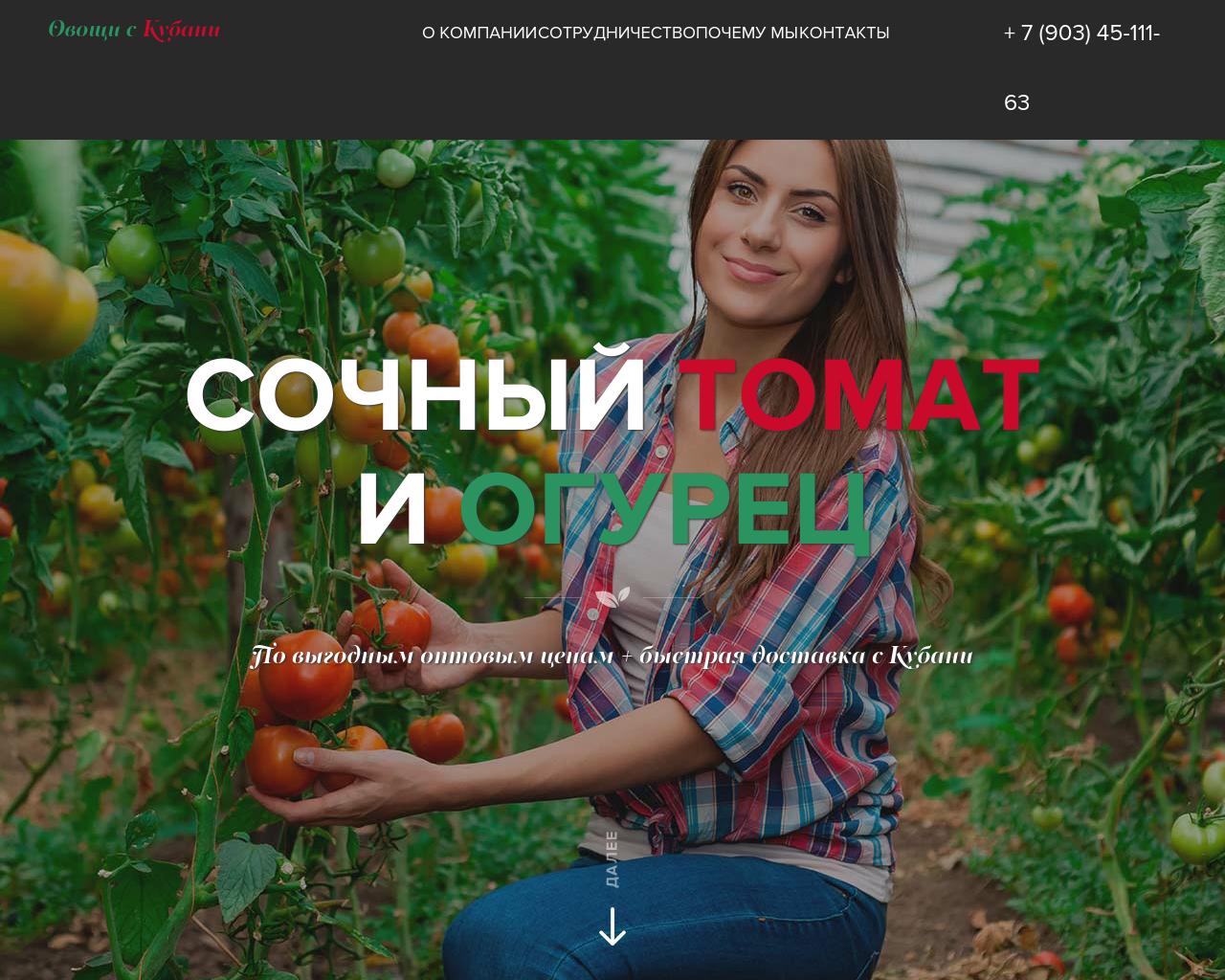 Изображение сайта agrooptom.ru в разрешении 1280x1024