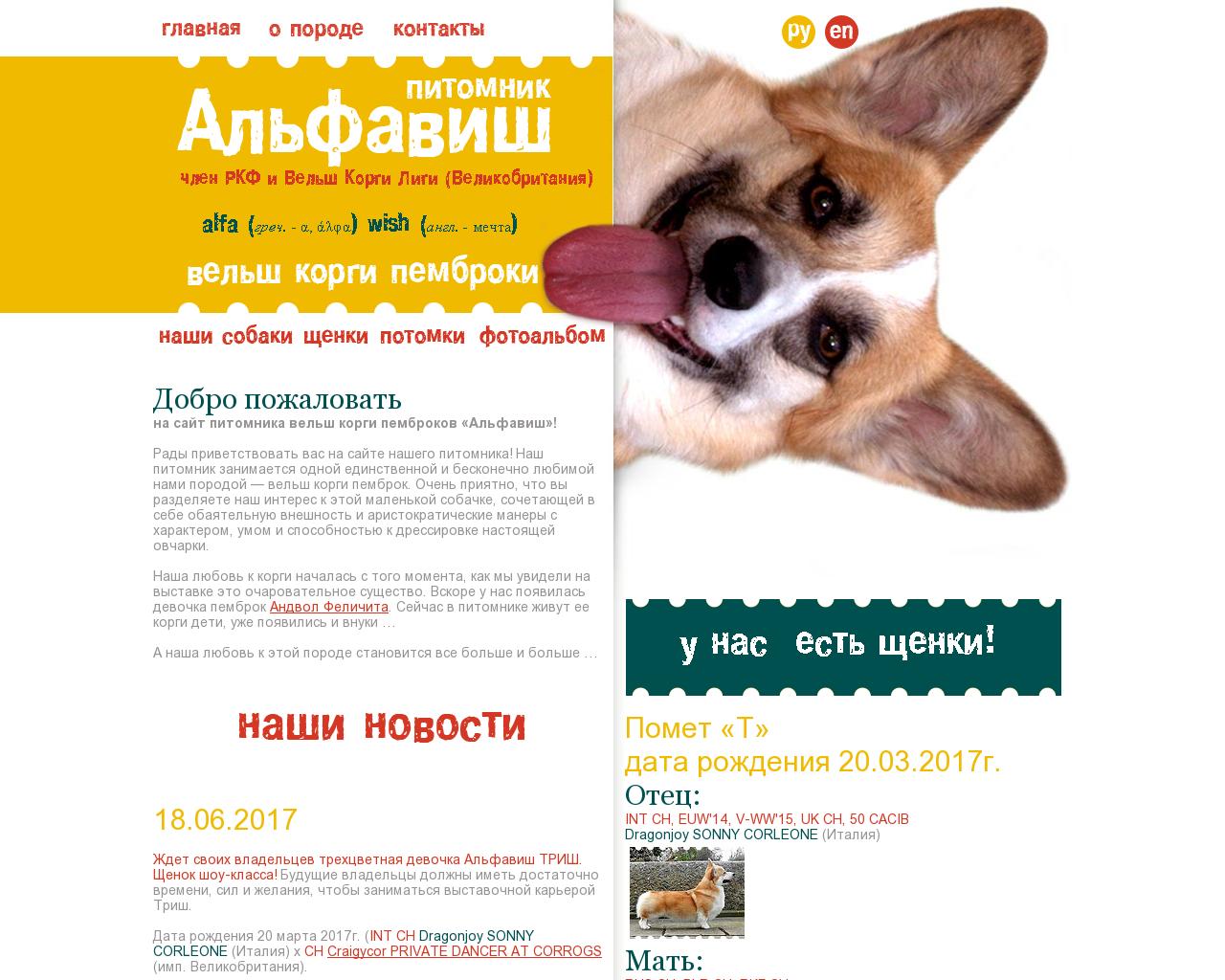Изображение сайта alfawish.ru в разрешении 1280x1024