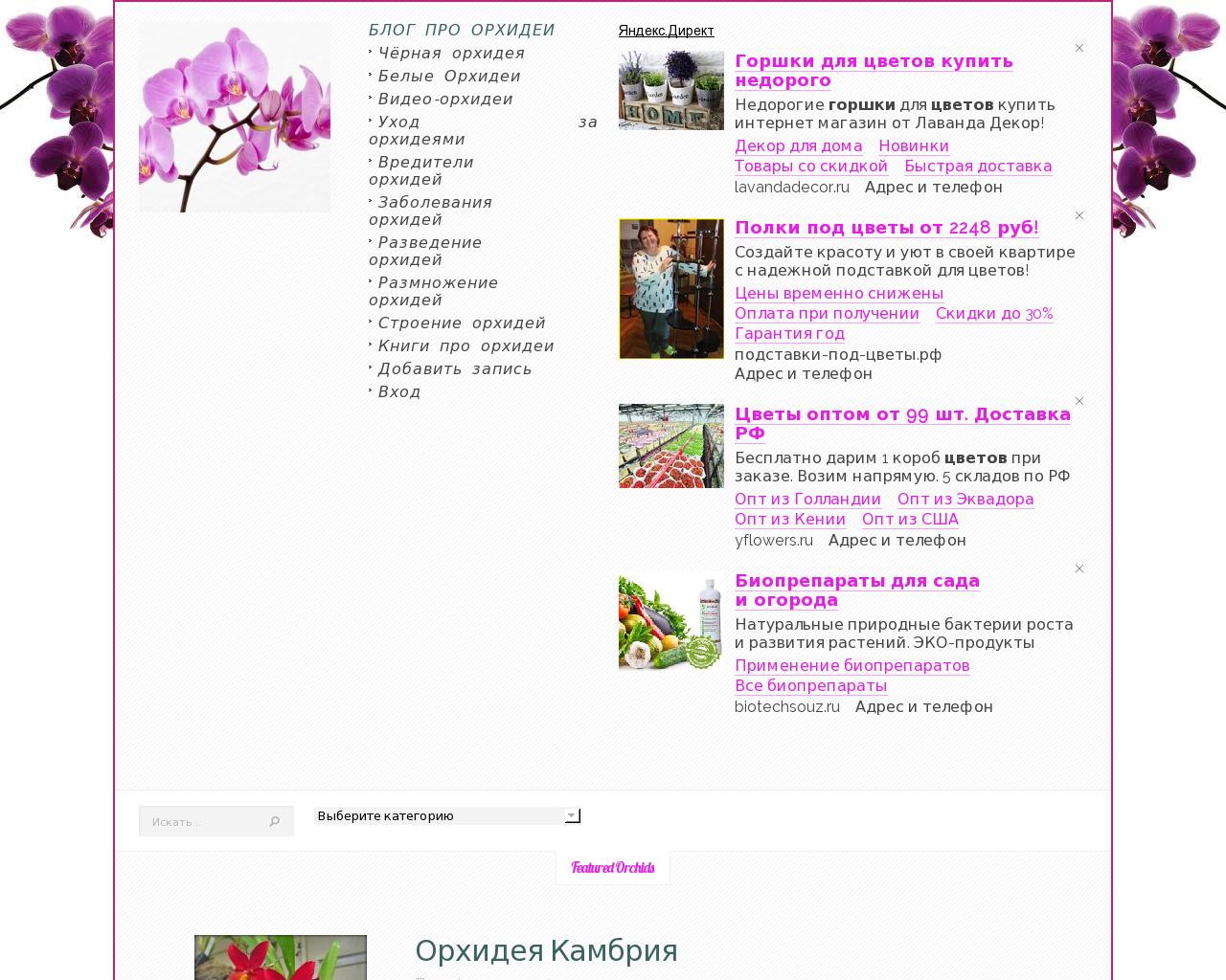 Изображение сайта all-orchid.ru в разрешении 1280x1024