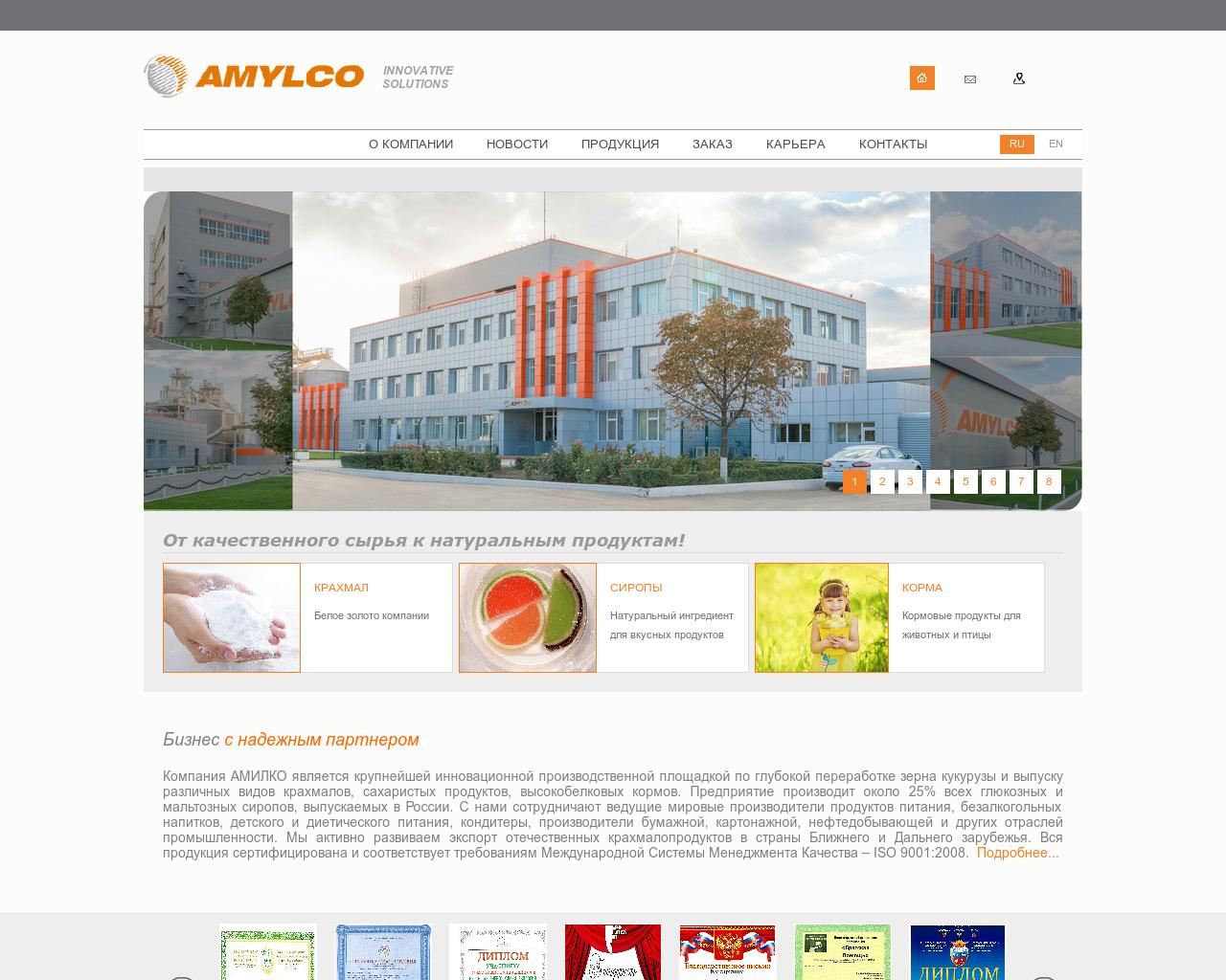 Изображение сайта amylco.ru в разрешении 1280x1024