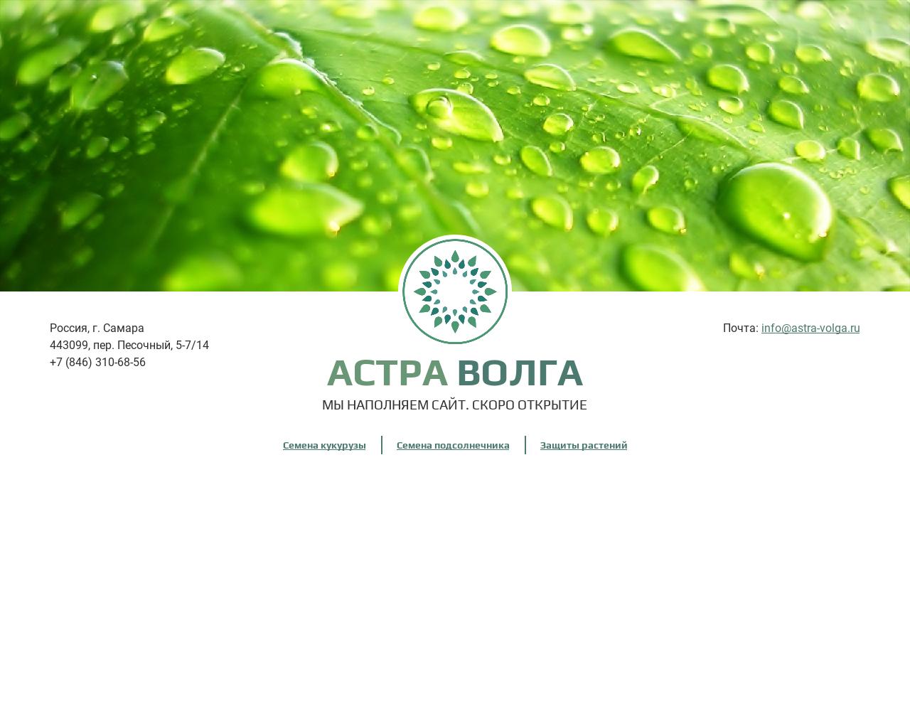 Изображение сайта astra-volga.ru в разрешении 1280x1024