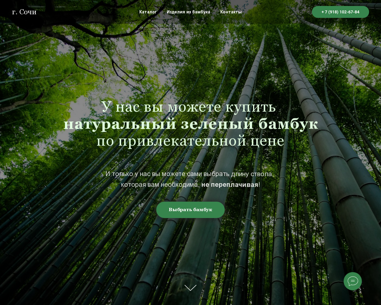 Изображение сайта bambuksochi.ru в разрешении 1280x1024