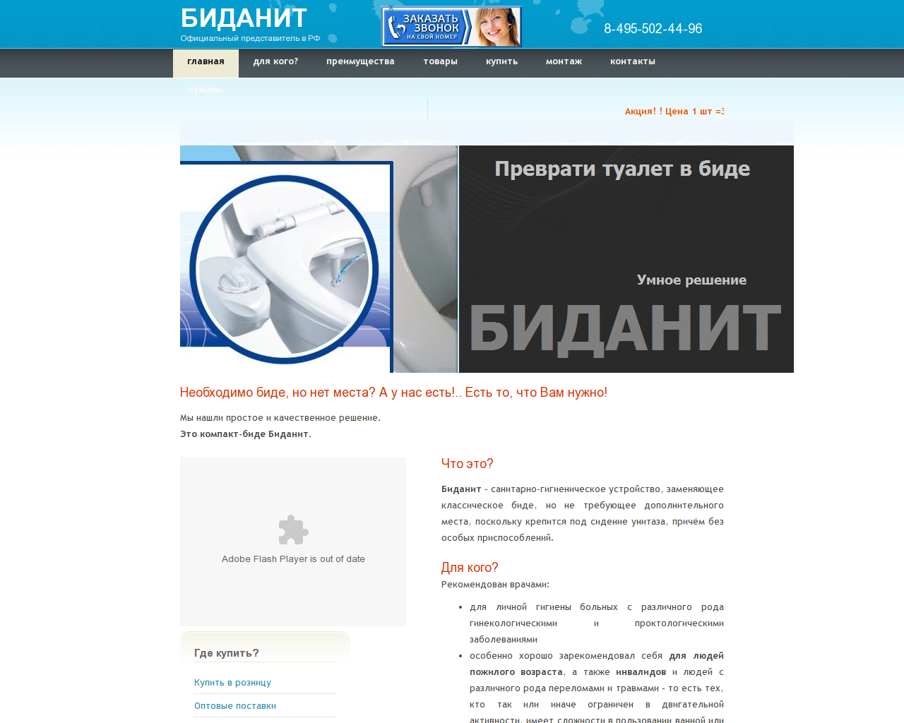Изображение сайта bidanit.ru в разрешении 1280x1024