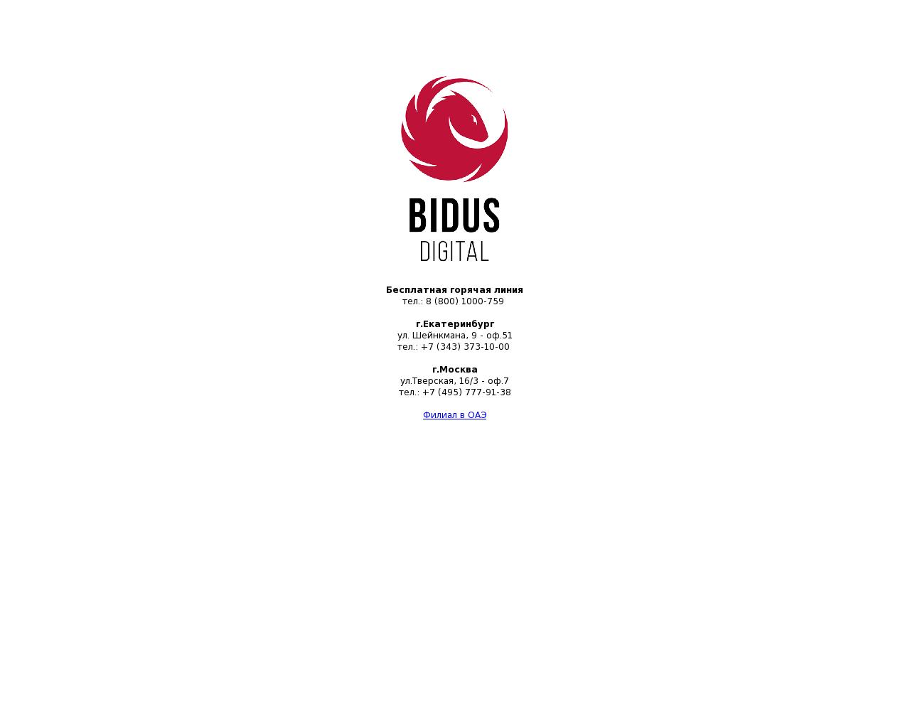 Изображение сайта bidus.ru в разрешении 1280x1024