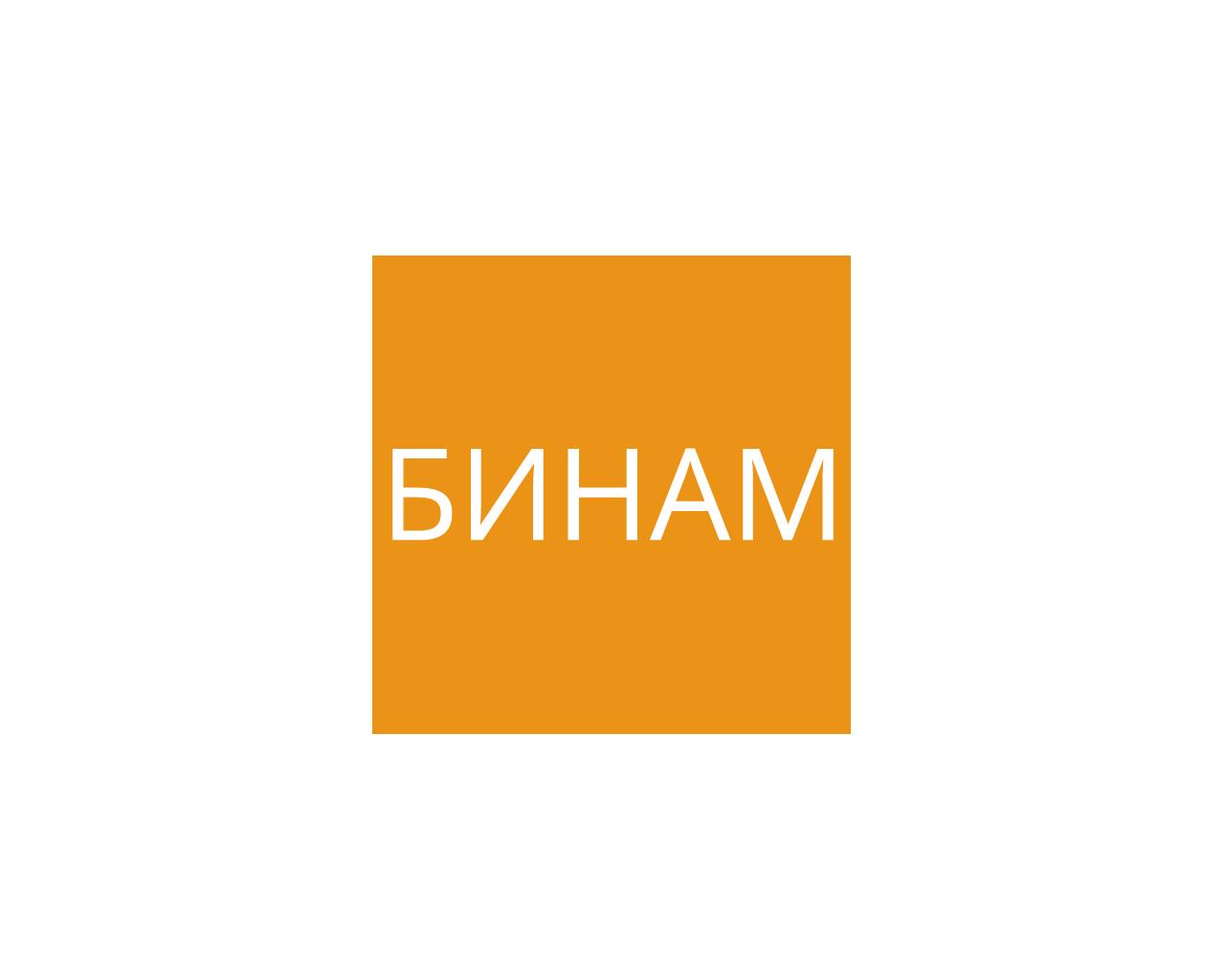 Изображение сайта binam.ru в разрешении 1280x1024