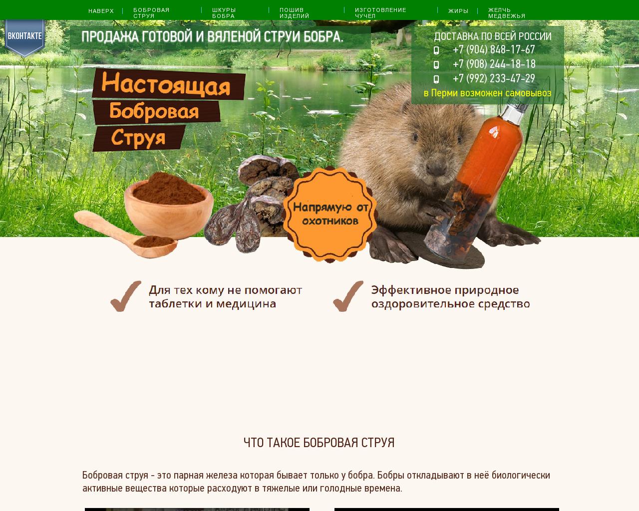 Изображение сайта bobrovaja-struja.ru в разрешении 1280x1024