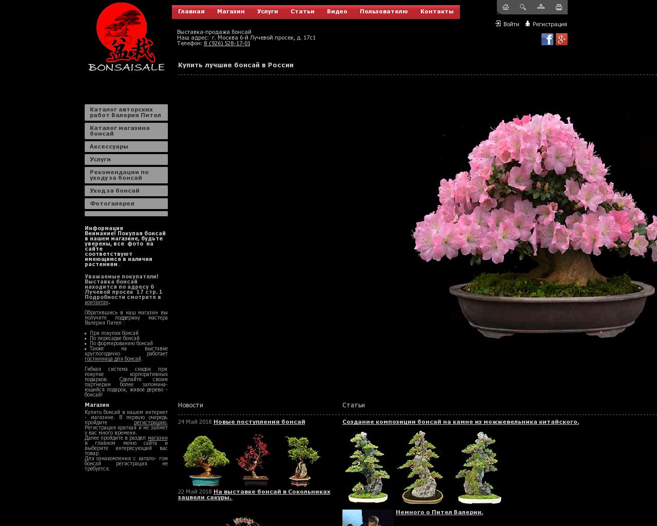 Изображение сайта bonsaisale.ru в разрешении 1280x1024