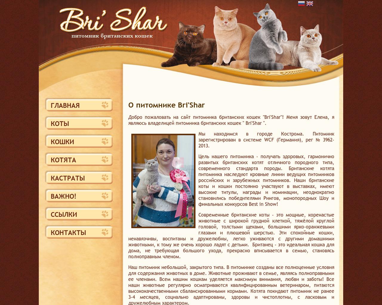 Изображение сайта brishar.ru в разрешении 1280x1024
