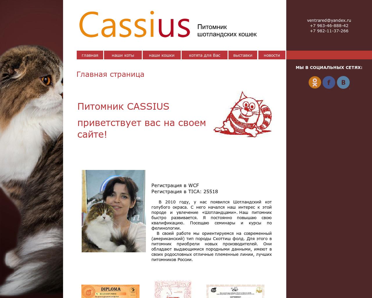 Изображение сайта cassius.ru в разрешении 1280x1024