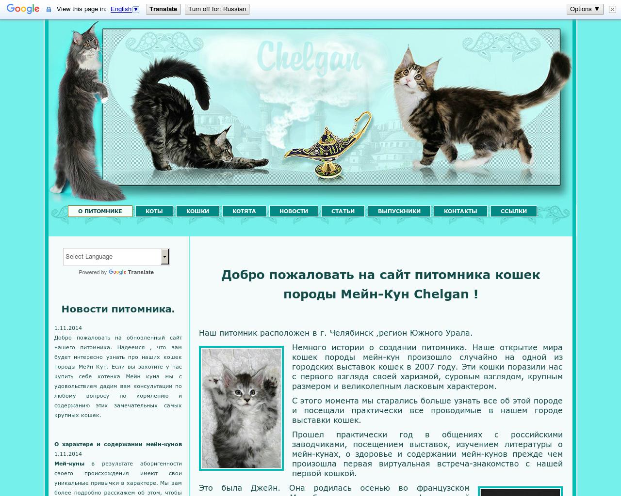Изображение сайта chelgan.ru в разрешении 1280x1024