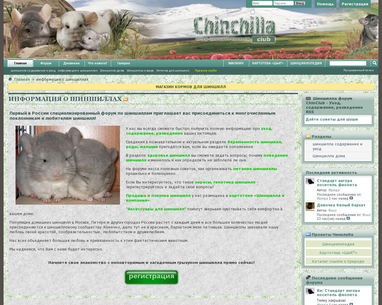 Изображение сайта chinclub.ru в разрешении 1280x1024