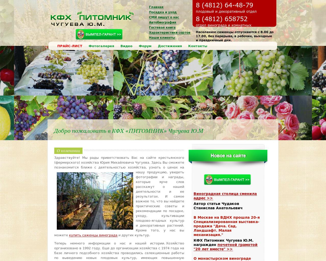 Изображение сайта chuguev.ru в разрешении 1280x1024