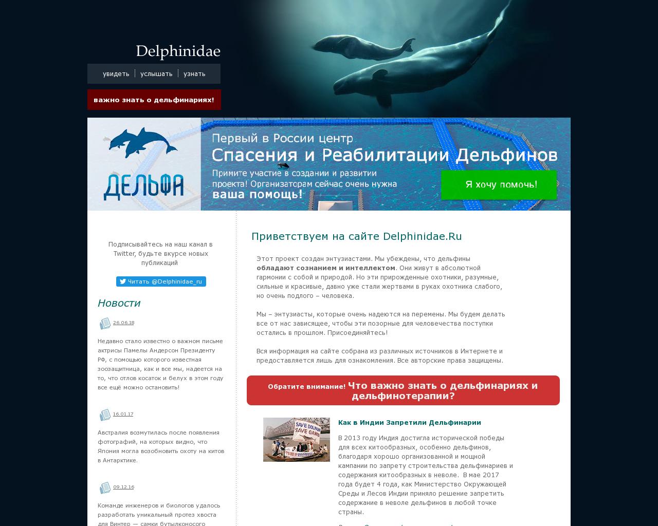 Изображение сайта delphinidae.ru в разрешении 1280x1024