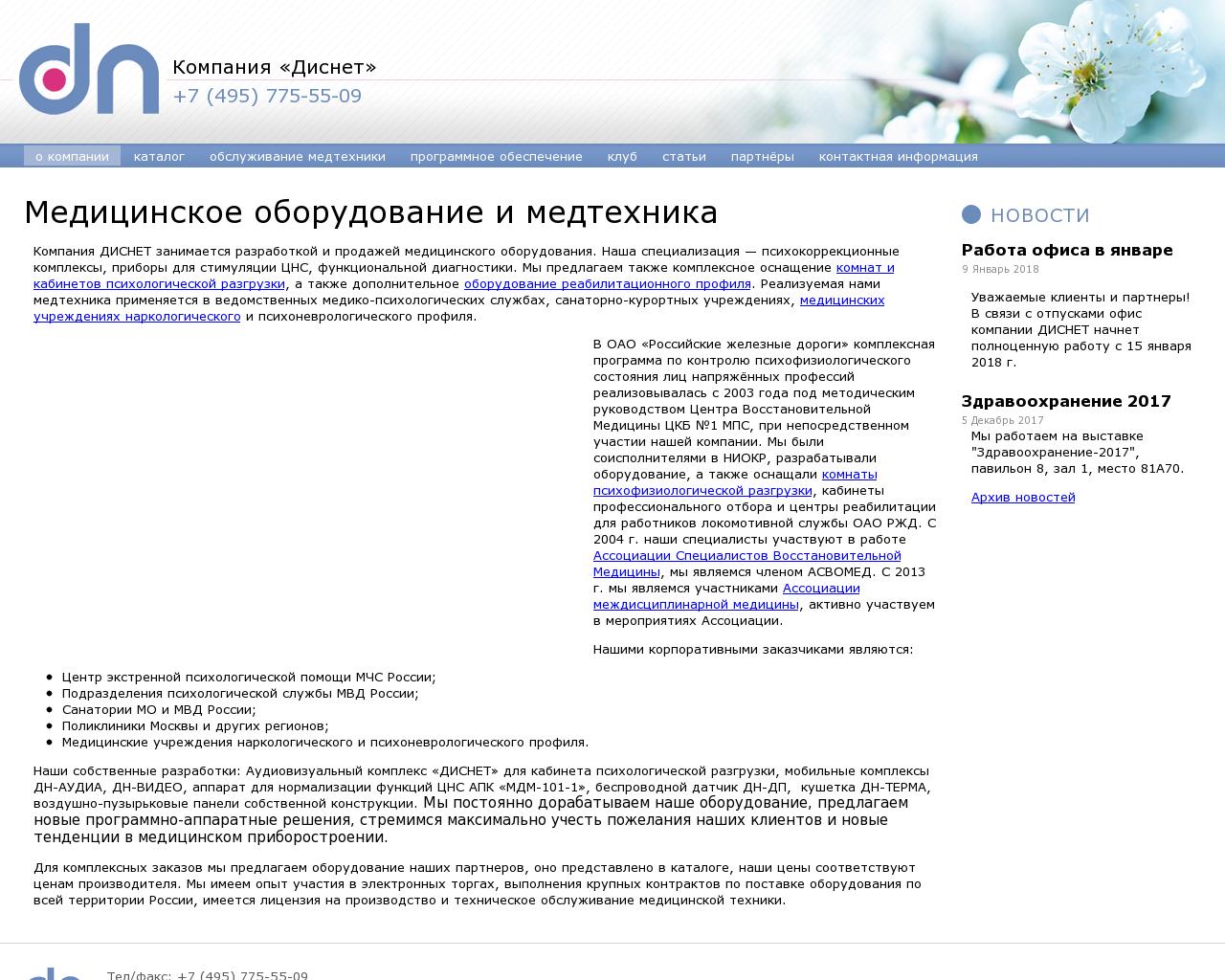 Изображение сайта disnet.ru в разрешении 1280x1024