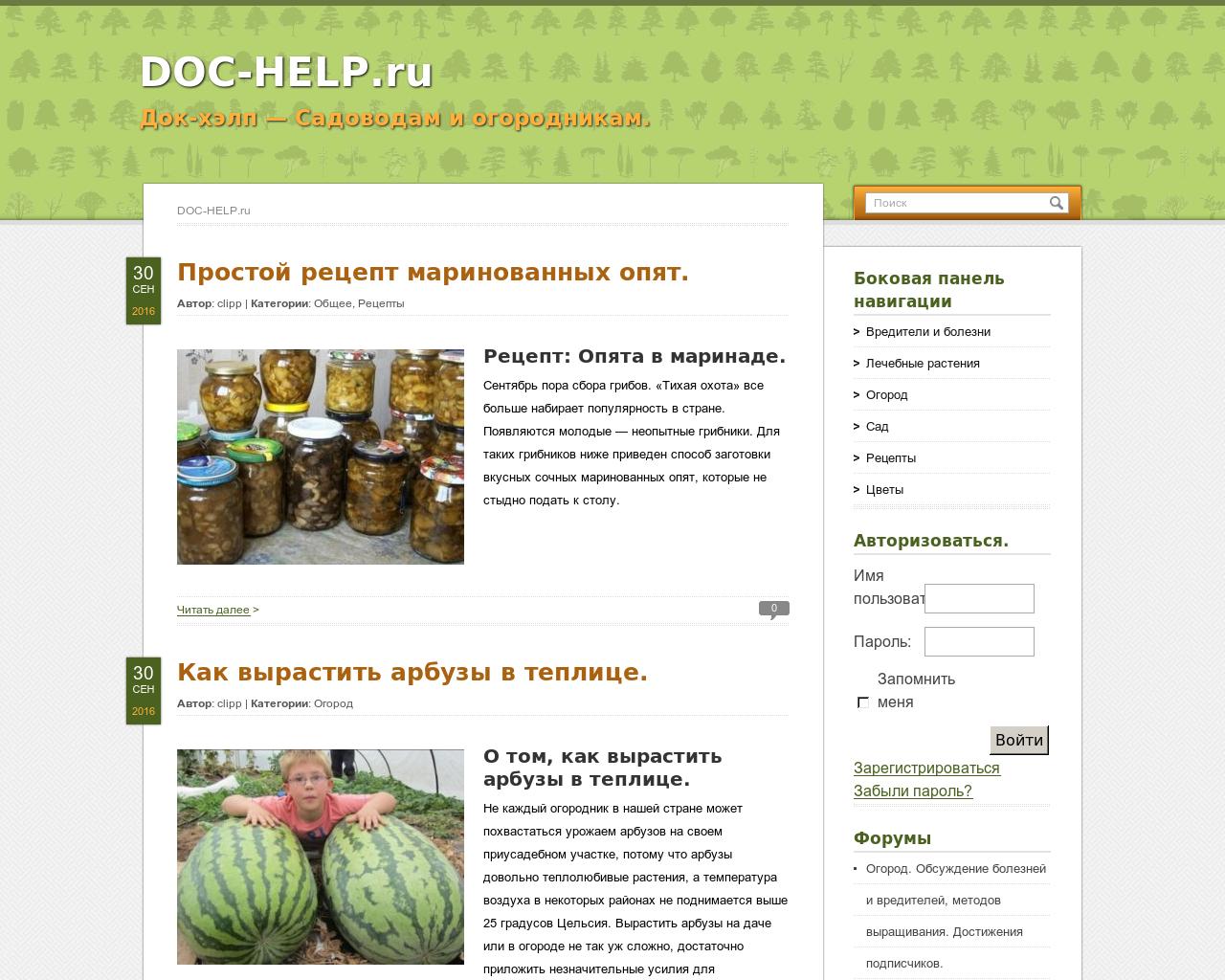 Изображение сайта doc-help.ru в разрешении 1280x1024