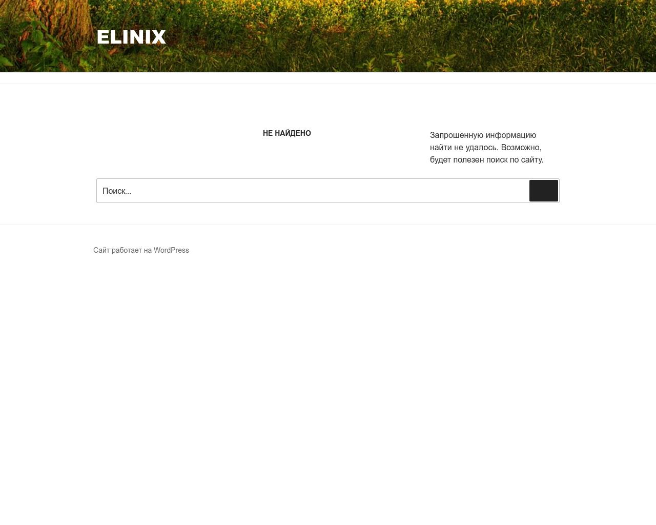 Изображение сайта elinix.ru в разрешении 1280x1024