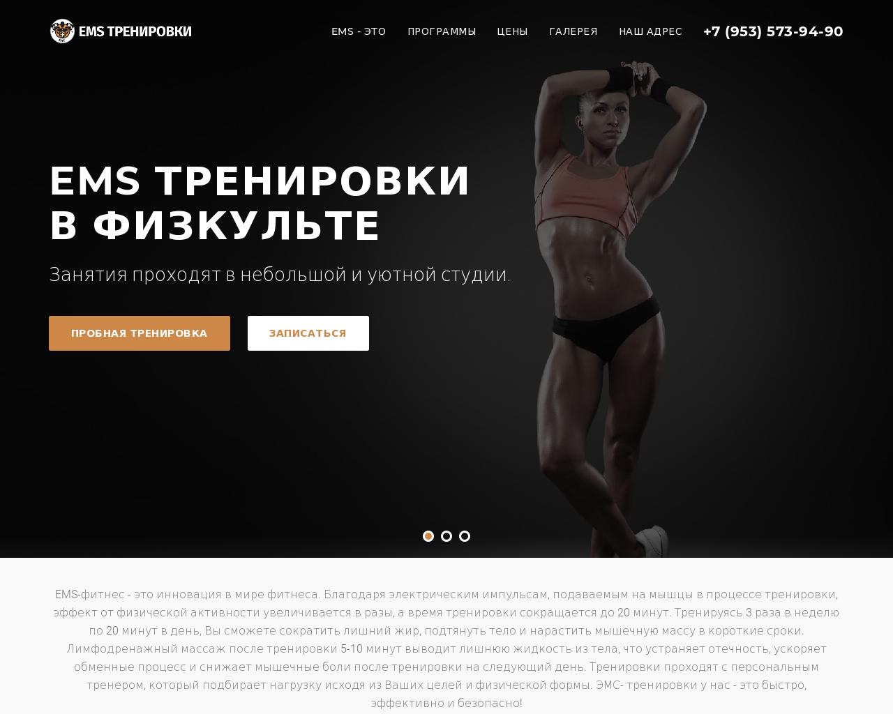 Изображение сайта ems-nn.ru в разрешении 1280x1024