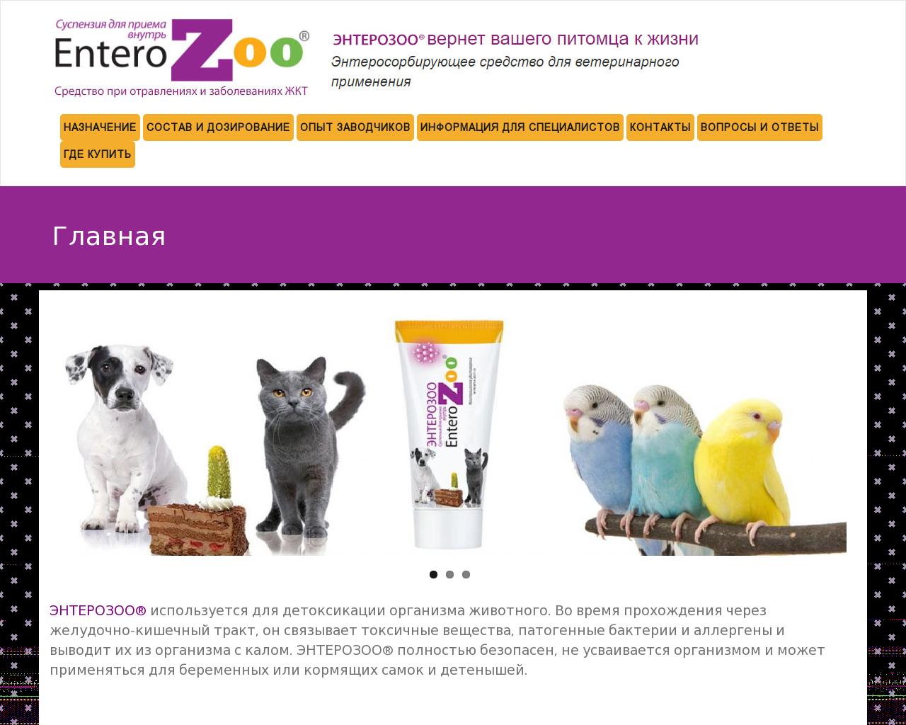 Изображение сайта enterozoo.ru в разрешении 1280x1024