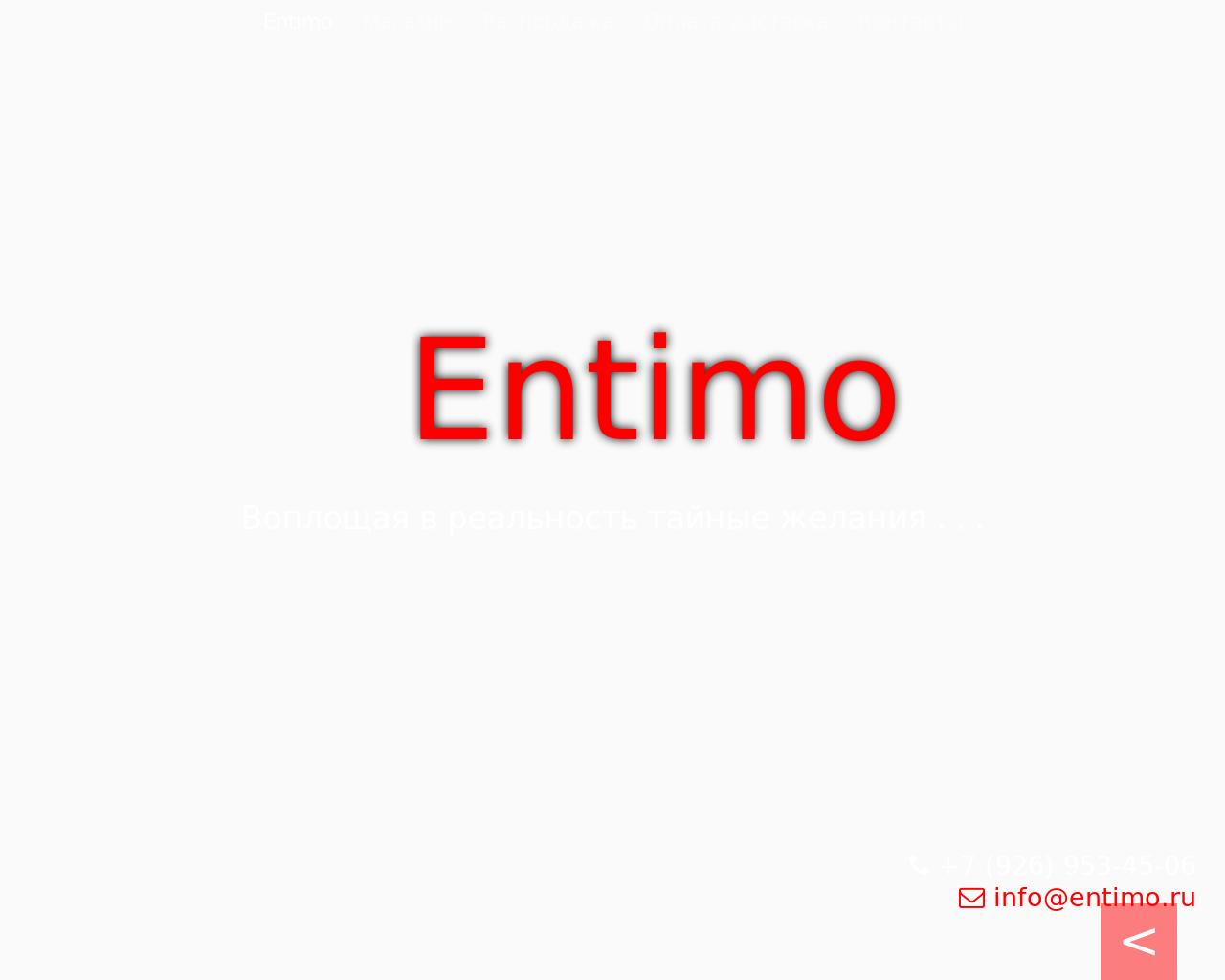 Изображение сайта entimo.ru в разрешении 1280x1024