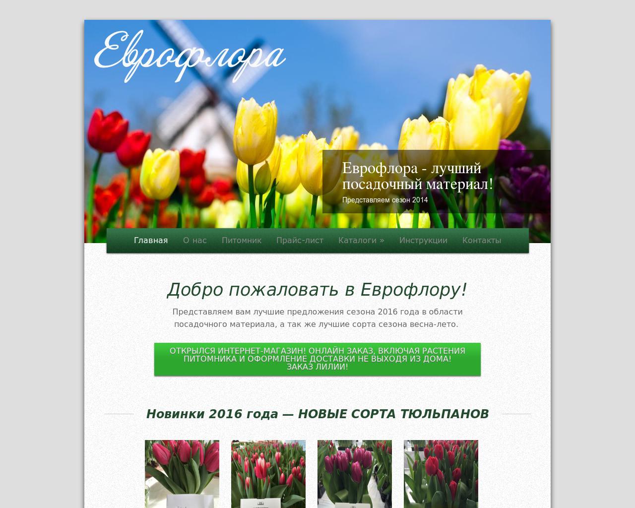 Изображение сайта euflora.ru в разрешении 1280x1024