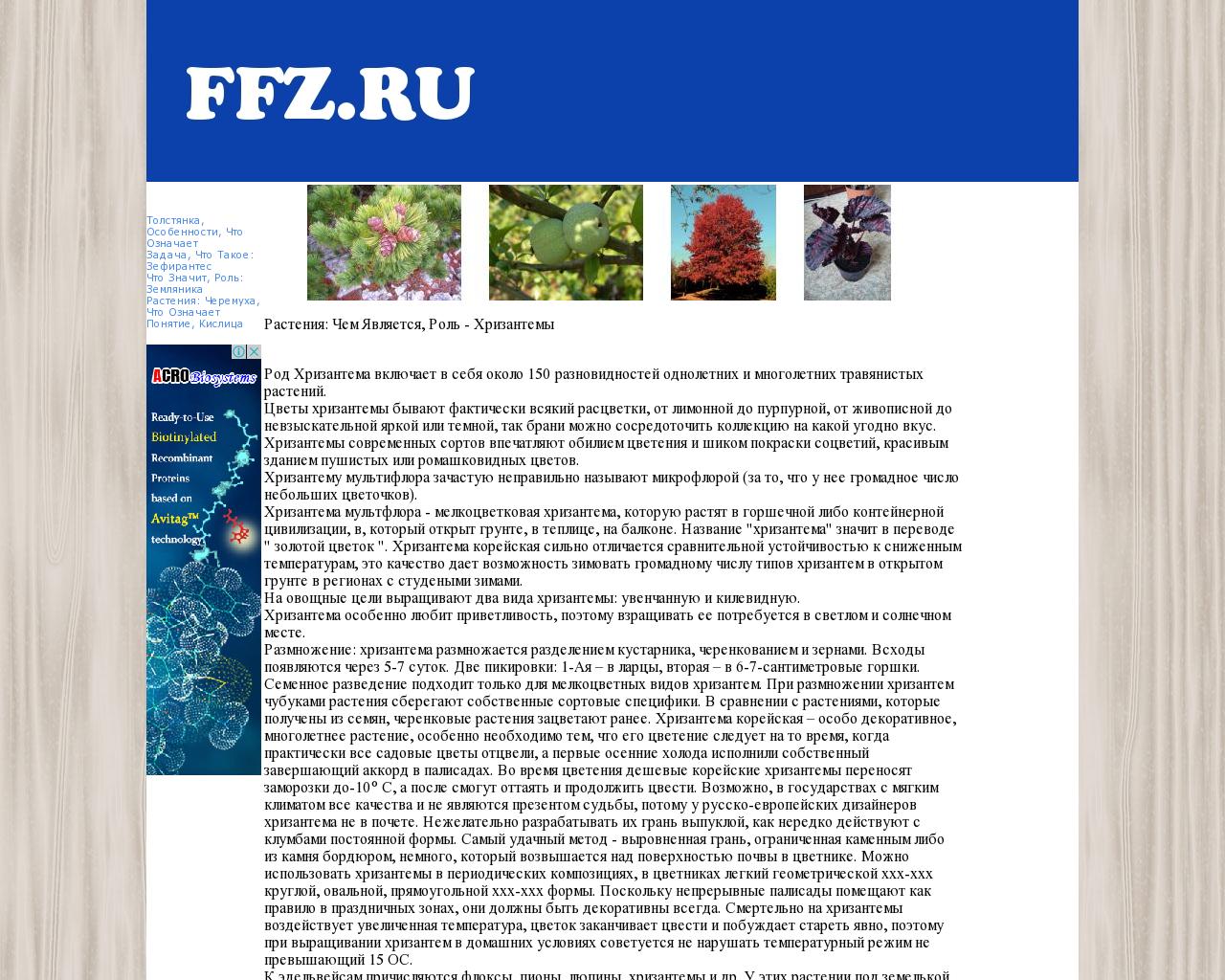 Изображение сайта ffz.ru в разрешении 1280x1024