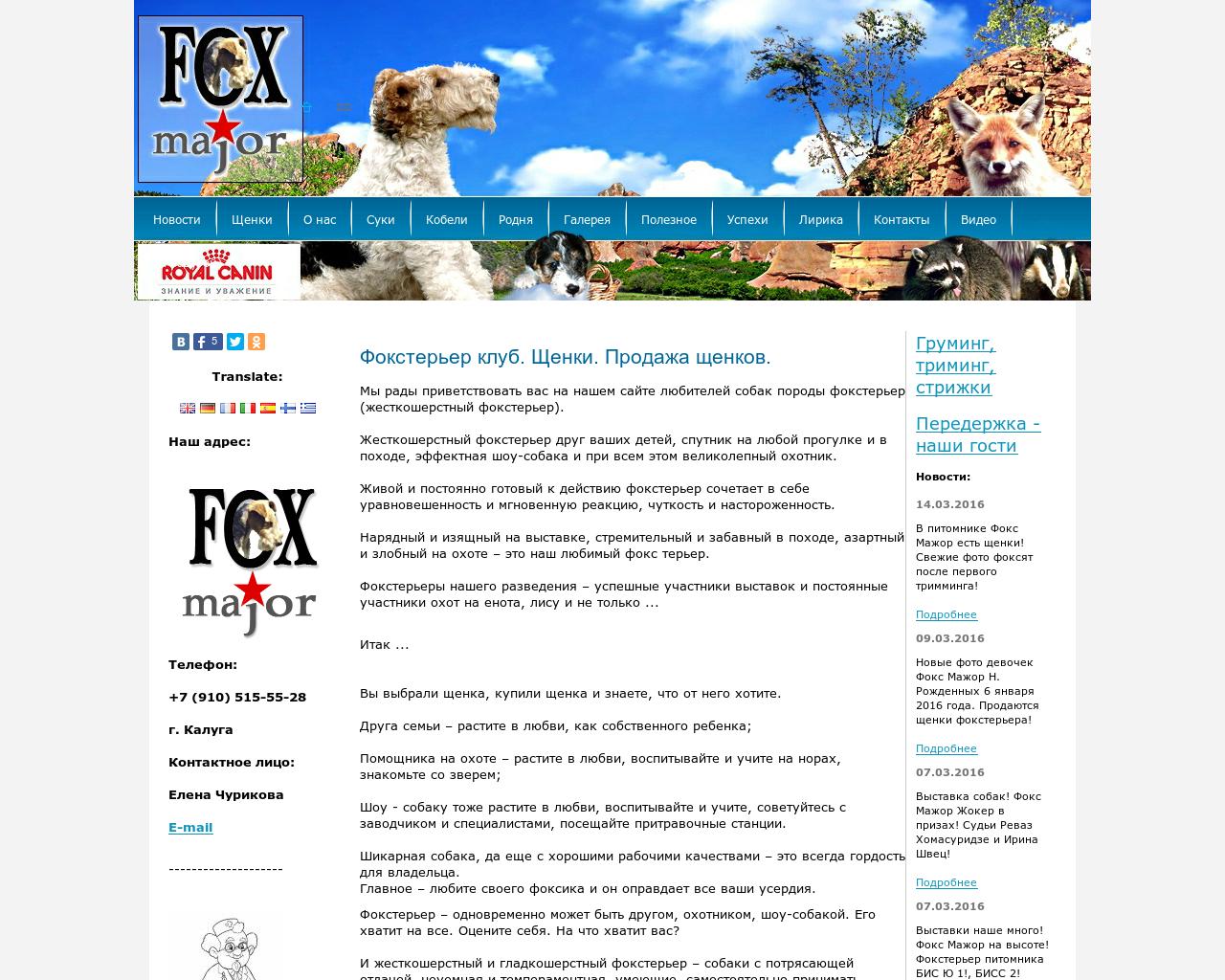 Изображение сайта foxterrier.su в разрешении 1280x1024