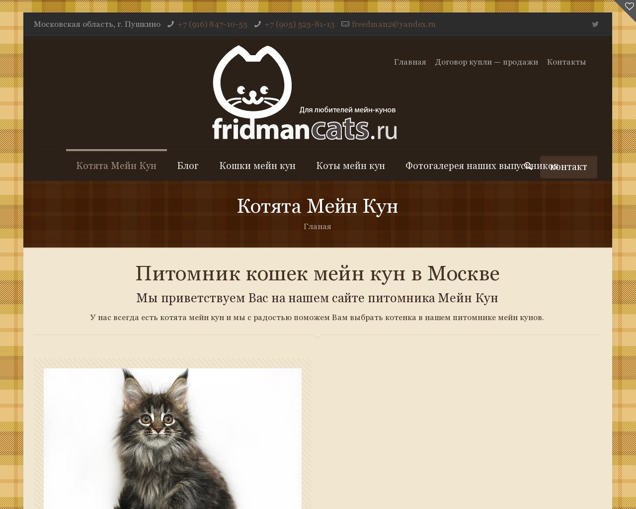 Изображение сайта fridmancats.ru в разрешении 1280x1024