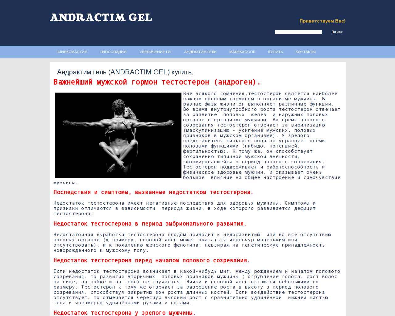 Изображение сайта gel-andractim.ru в разрешении 1280x1024