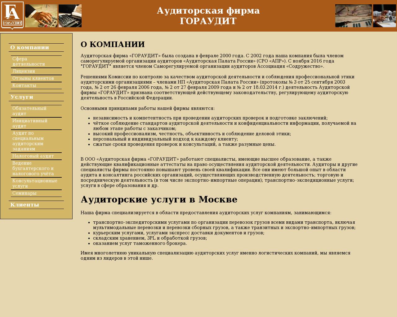 Изображение сайта goraudit.ru в разрешении 1280x1024