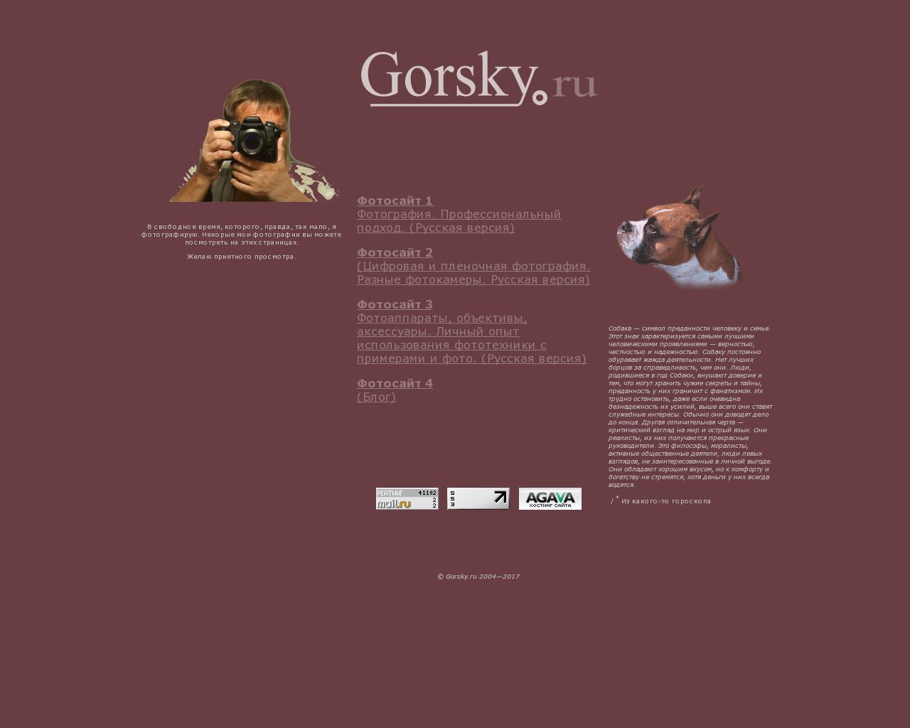 Изображение сайта gorsky.ru в разрешении 1280x1024