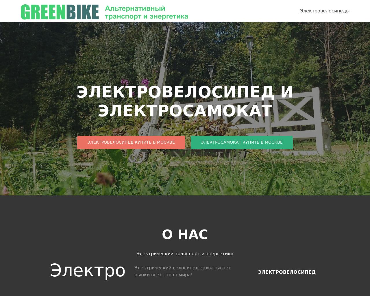 Изображение сайта greenbike.ru в разрешении 1280x1024