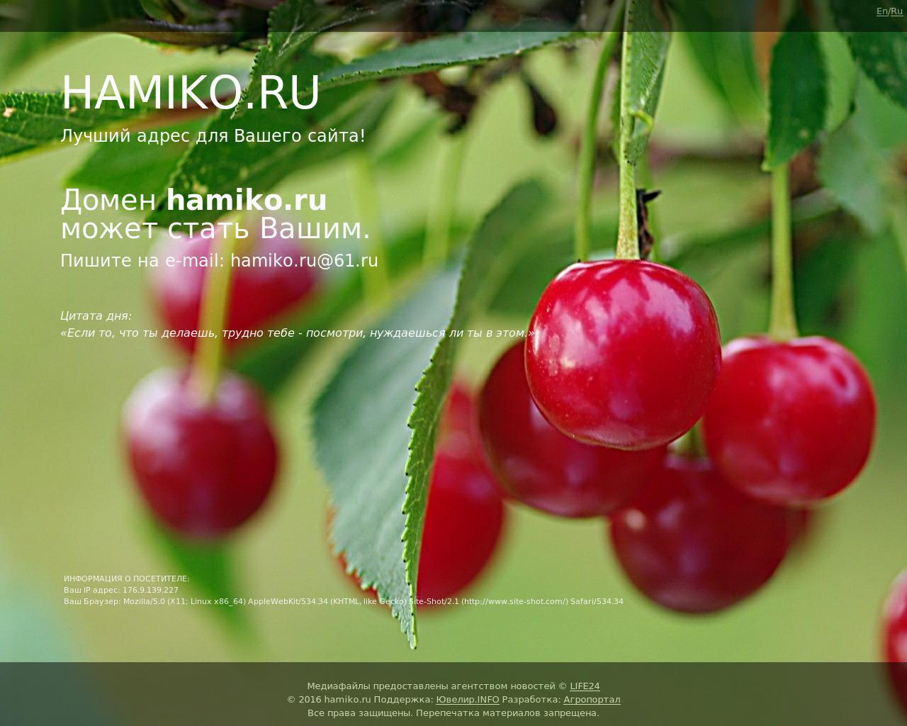 Изображение сайта hamiko.ru в разрешении 1280x1024