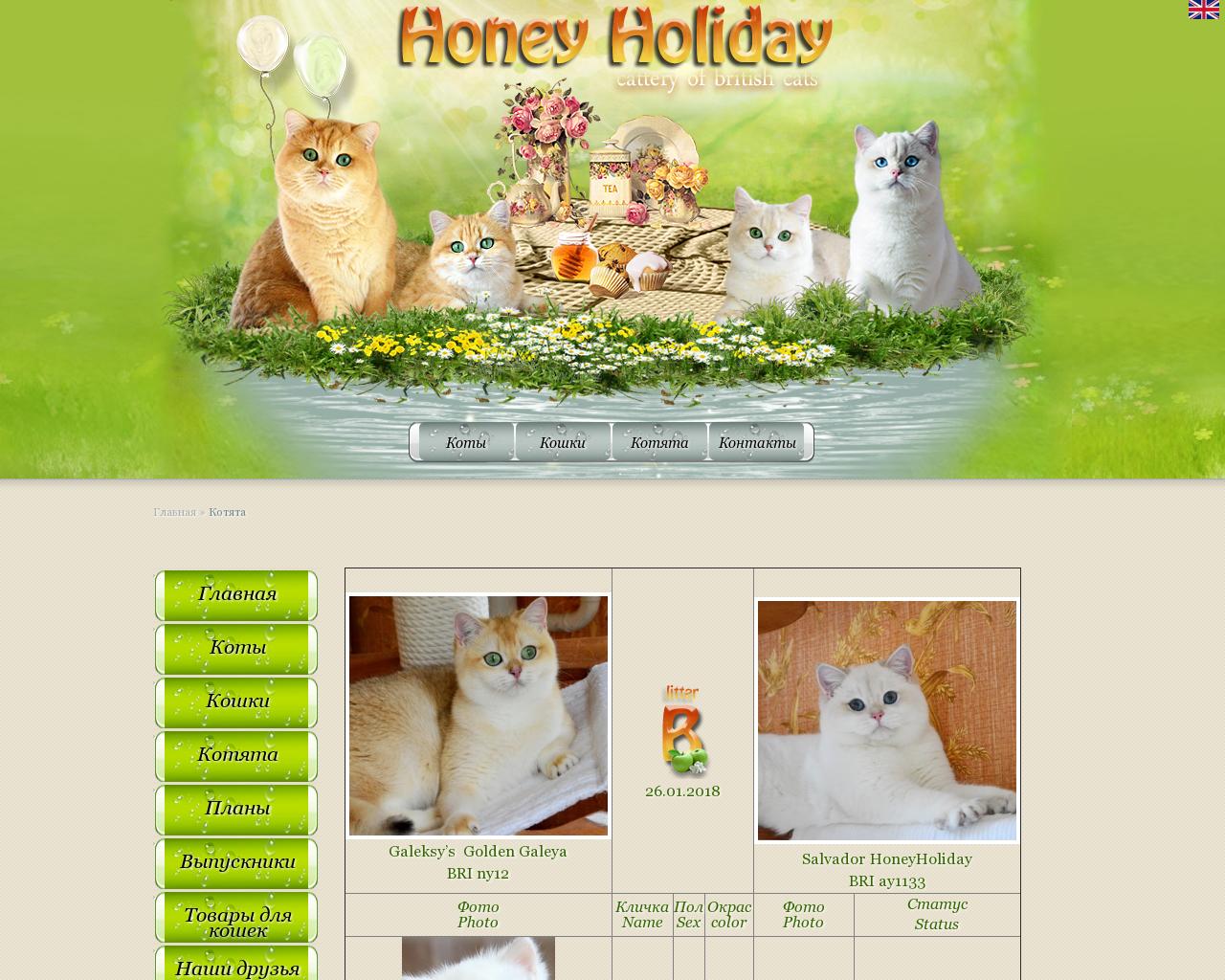 Изображение сайта honey-holiday.ru в разрешении 1280x1024