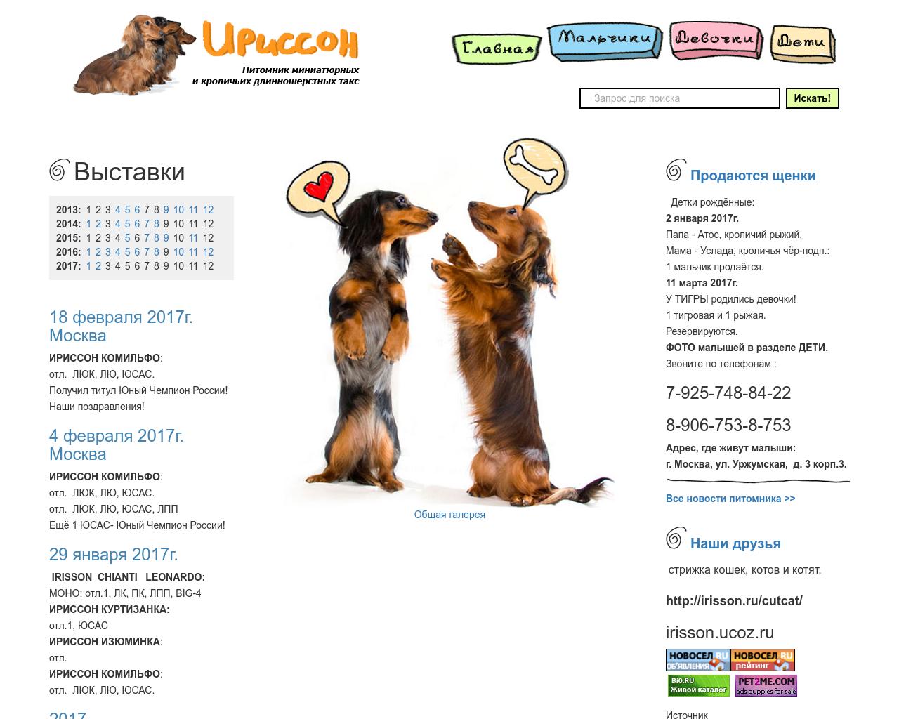 Изображение сайта irisson.ru в разрешении 1280x1024