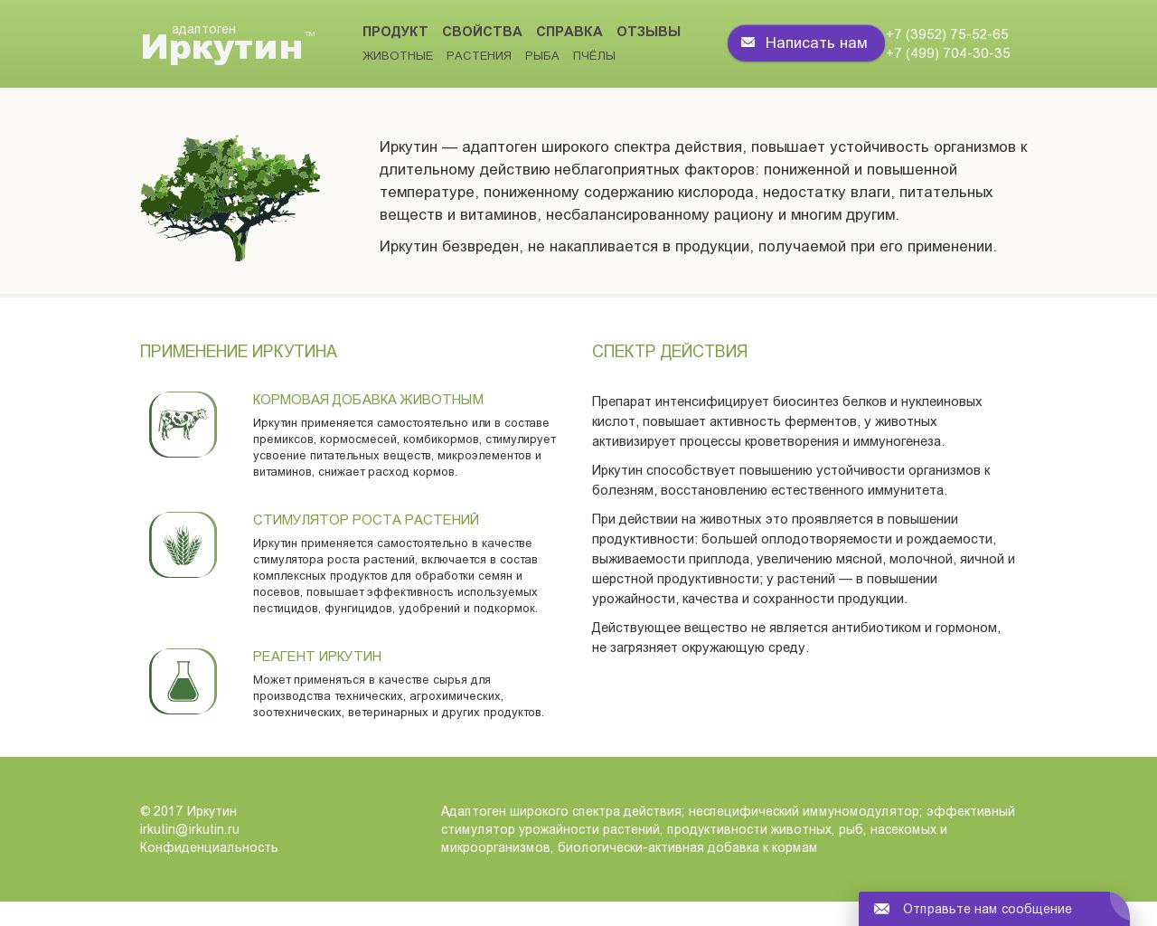 Изображение сайта irkutin.ru в разрешении 1280x1024