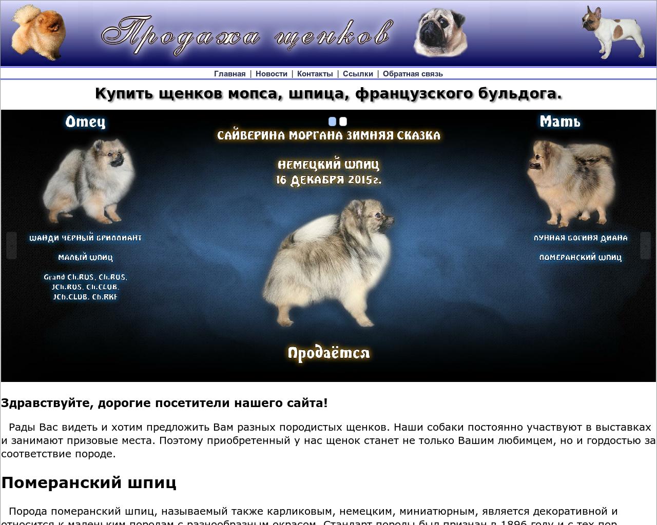 Изображение сайта irsav.ru в разрешении 1280x1024