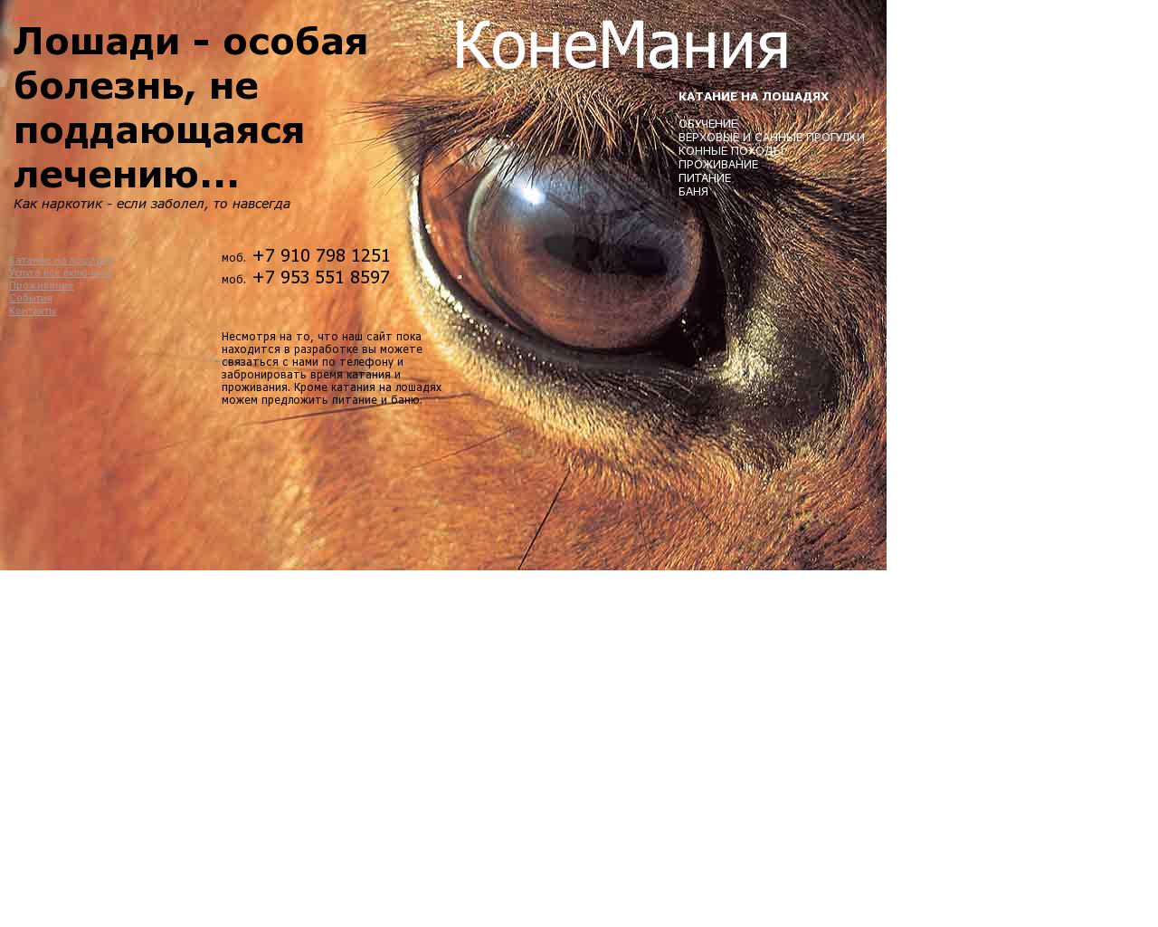Изображение сайта konimania.ru в разрешении 1280x1024
