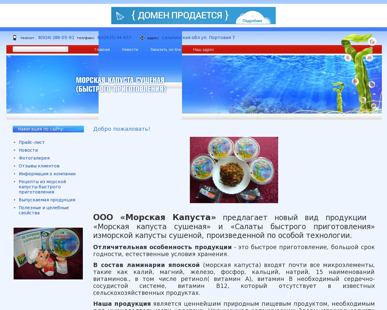 Изображение сайта lesodom.ru в разрешении 1280x1024