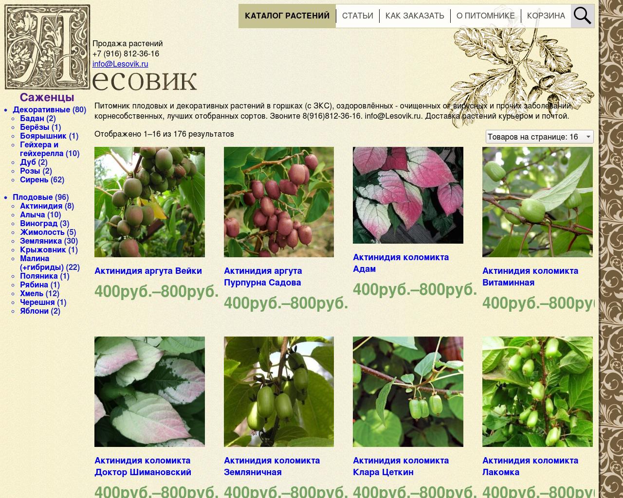 Изображение сайта lesovik.ru в разрешении 1280x1024
