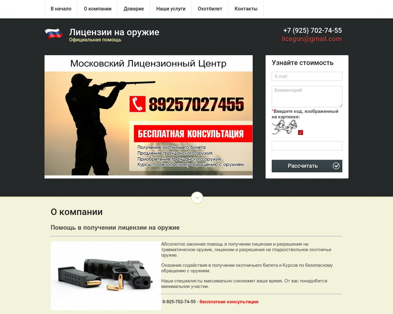 Изображение сайта licegun.ru в разрешении 1280x1024