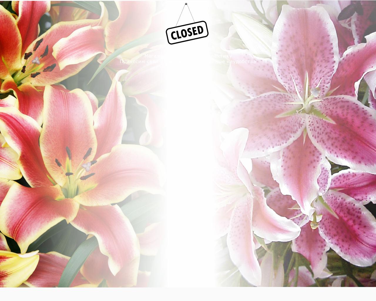 Изображение сайта lilies.su в разрешении 1280x1024