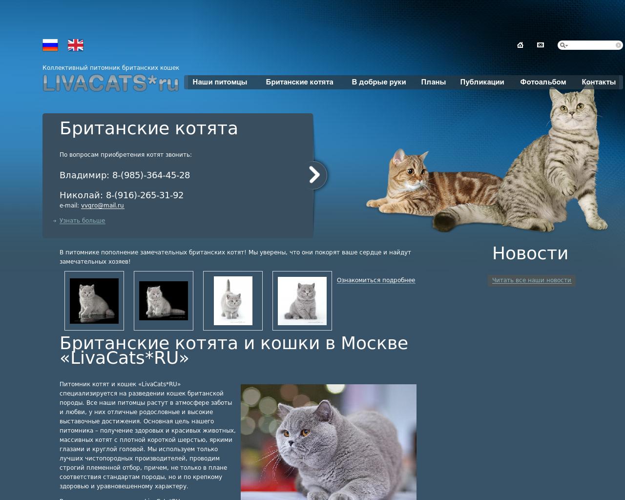 Изображение сайта livacats.ru в разрешении 1280x1024