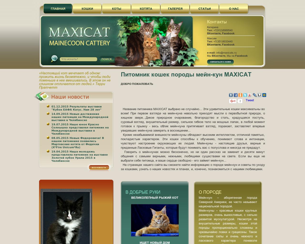 Изображение сайта maxicats.ru в разрешении 1280x1024