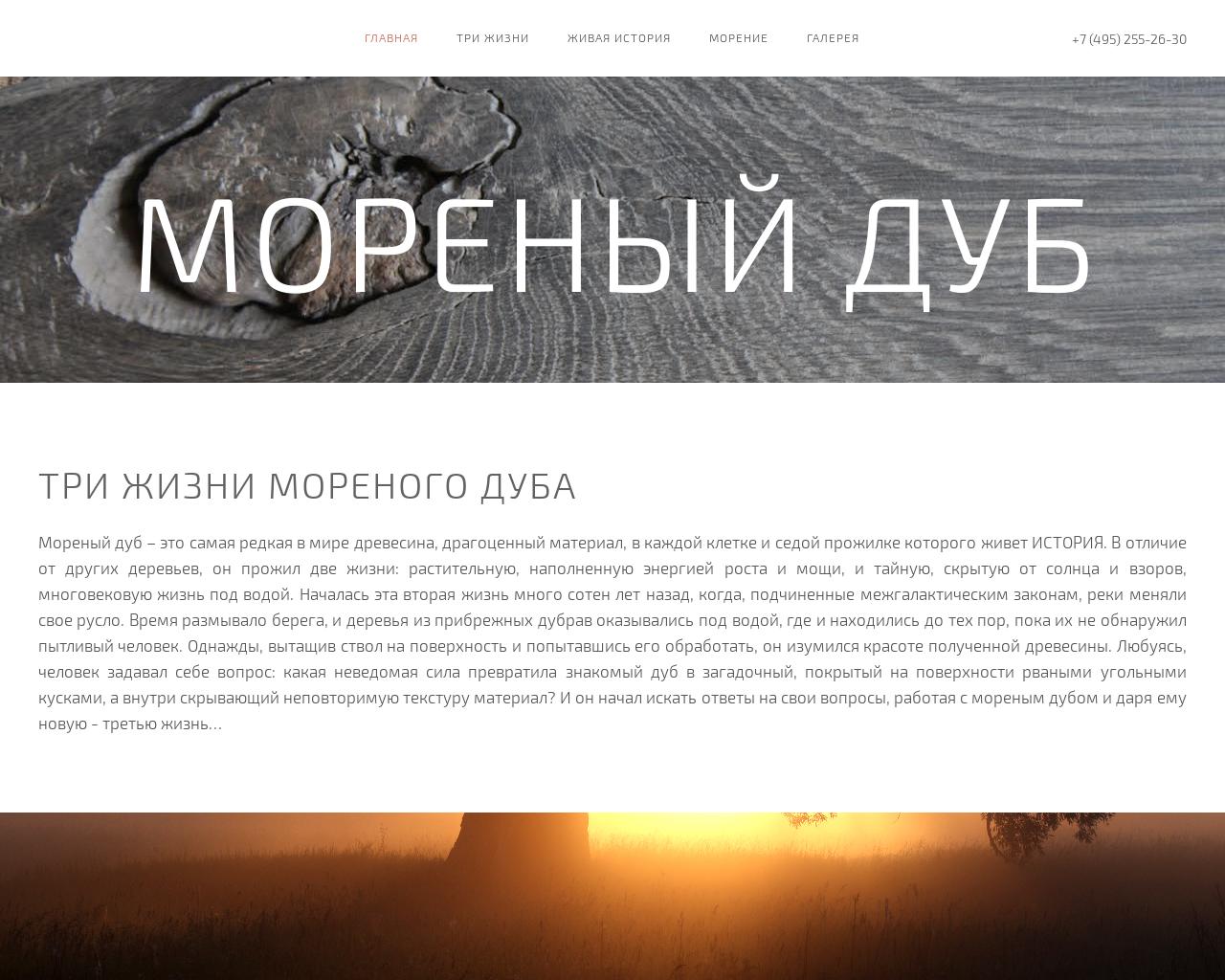 Изображение сайта mordub.ru в разрешении 1280x1024