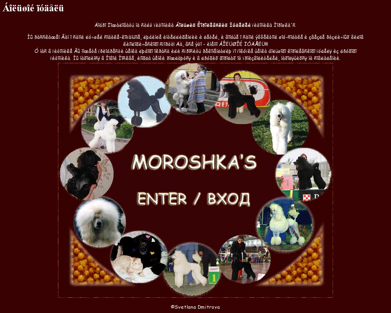 Изображение сайта moroshkas.ru в разрешении 1280x1024