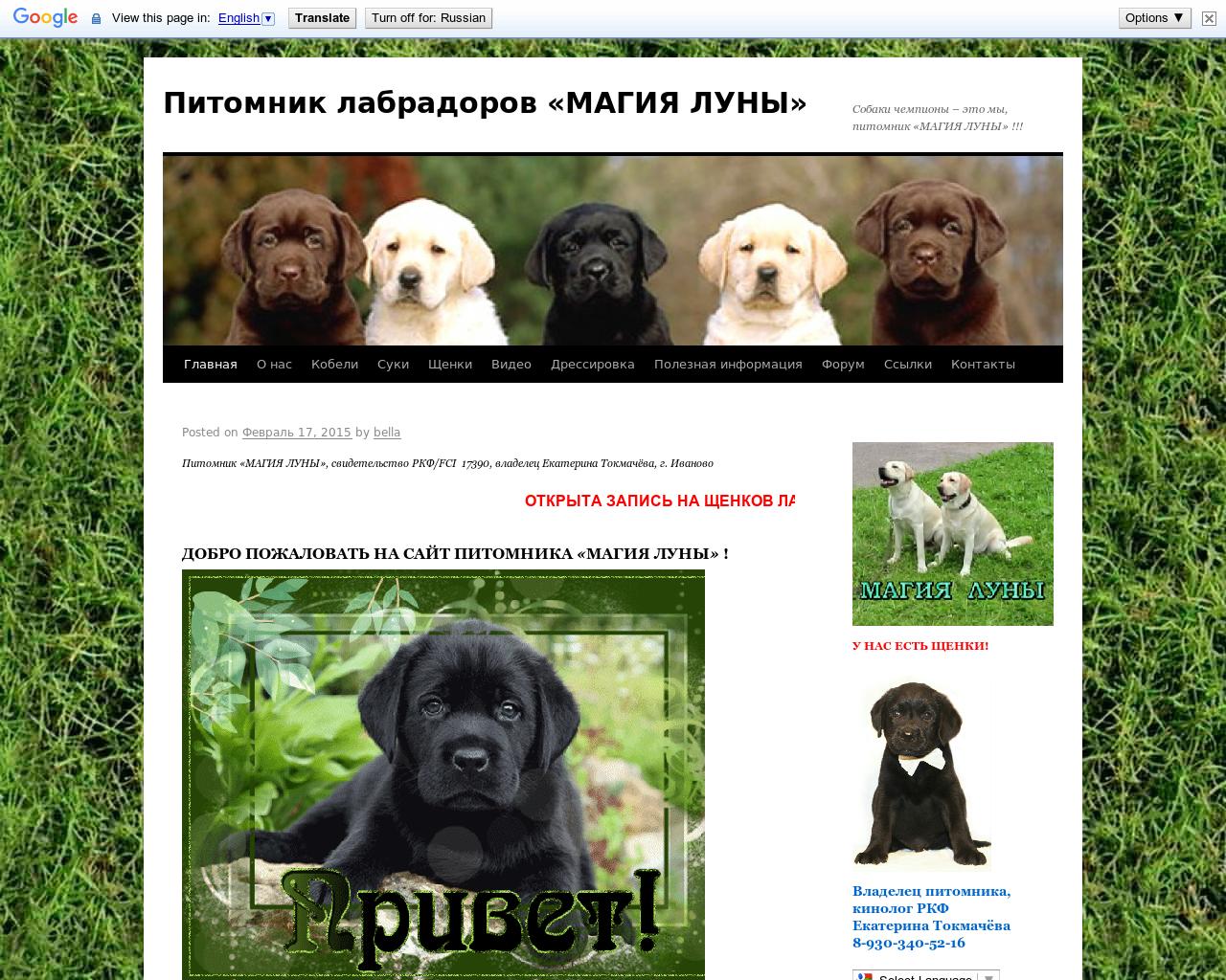 Изображение сайта myhappypuppy.ru в разрешении 1280x1024