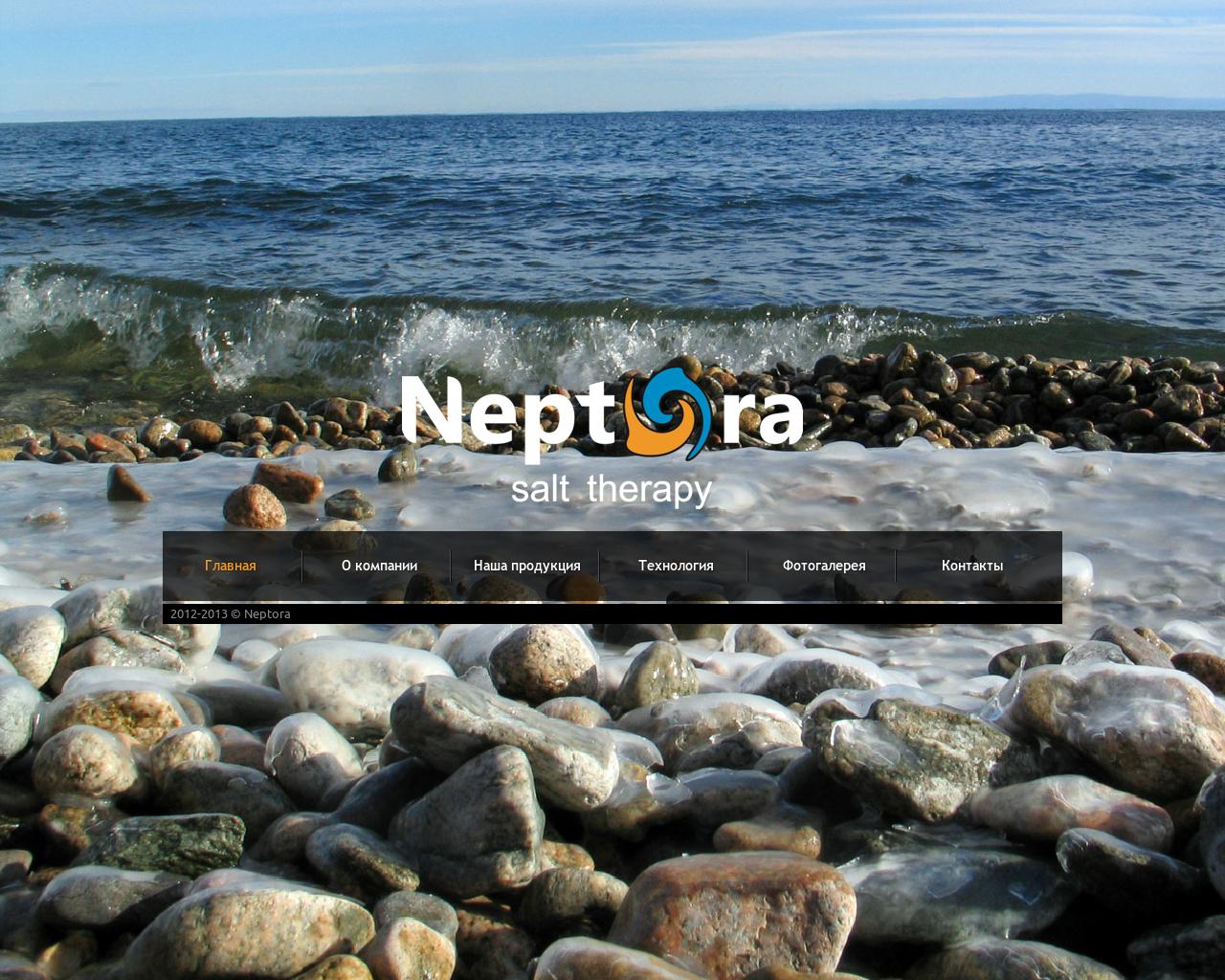 Изображение сайта neptora.ru в разрешении 1280x1024