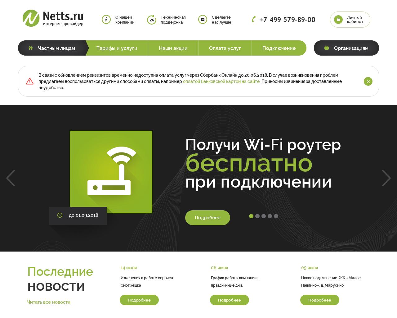 Изображение сайта netts.ru в разрешении 1280x1024